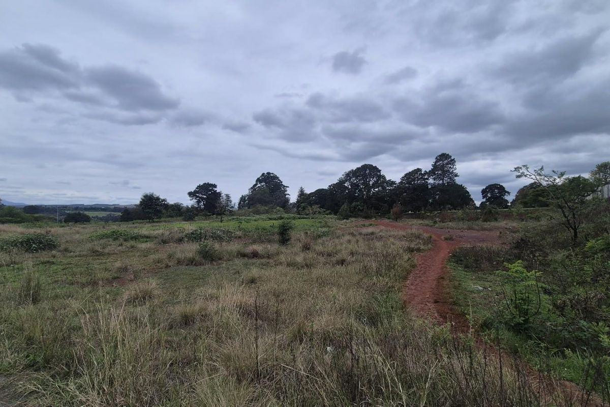 An expansive view of an undeveloped commercial land plot featuring natural vegetation and a dirt access path under an overcast sky.