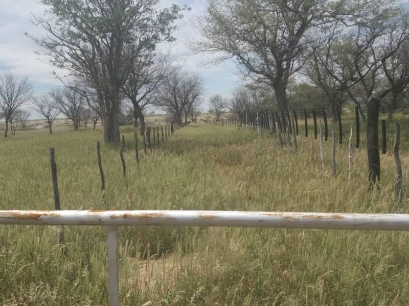 FOR SALE - CATTLE/SHEEP/AGRICULTURAL FARM IN THE OMARURU AREA OF NAMIBIA - Photo 3