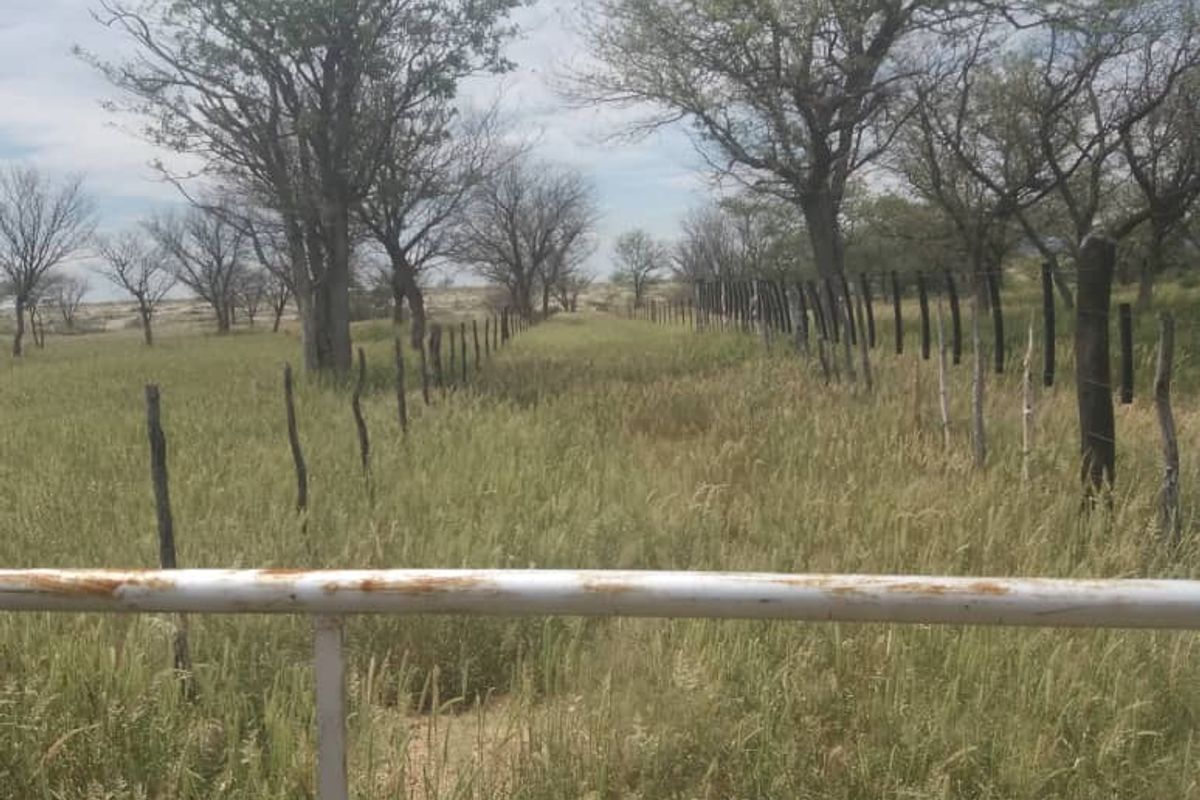 FOR SALE - CATTLE/SHEEP/AGRICULTURAL FARM IN THE OMARURU AREA OF NAMIBIA - Photo 3