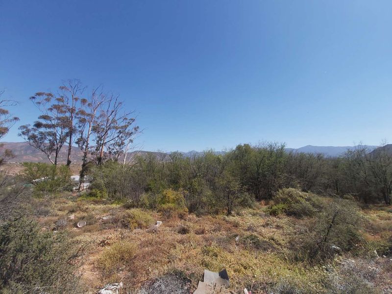 A view of the vacant residential land featuring natural vegetation and a scenic mountain backdrop.