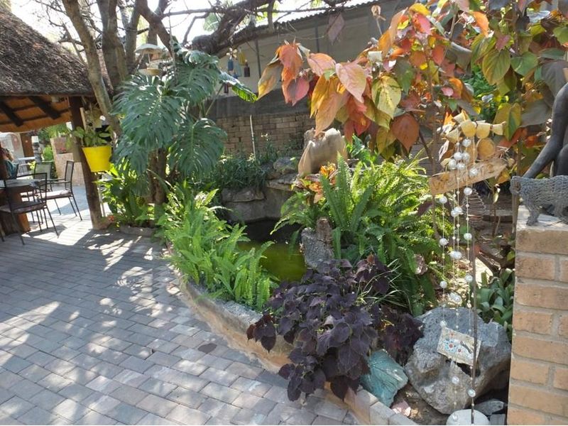 BEAUTIFUL AND POPULAR GUEST HOUSE FOR SALE IN GROOTFONTEIN - NAMIBIA - Photo 5