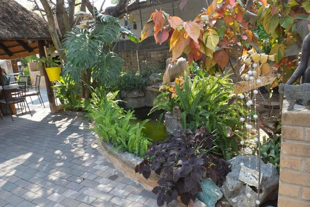 BEAUTIFUL AND POPULAR GUEST HOUSE FOR SALE IN GROOTFONTEIN - NAMIBIA - Photo 5