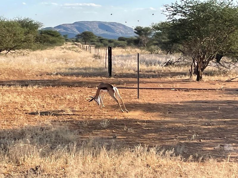 A 700 hectare farm just outside Outjo, where the bushveld opens into wide plains and clear skies, lies a well-developed farm — Ideal for irrigation & small stoc - Photo 8