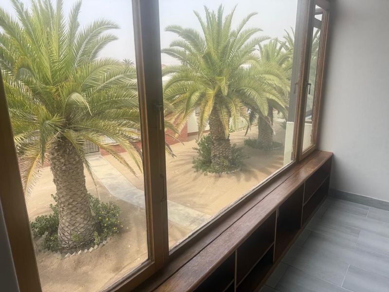 A view from an interior space looking out onto a landscaped garden with palm trees, featuring timber window frames and built-in shelving.