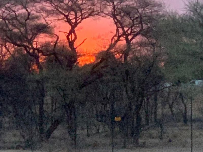A scenic view of the sunset over the natural landscape and trees on the farm property.