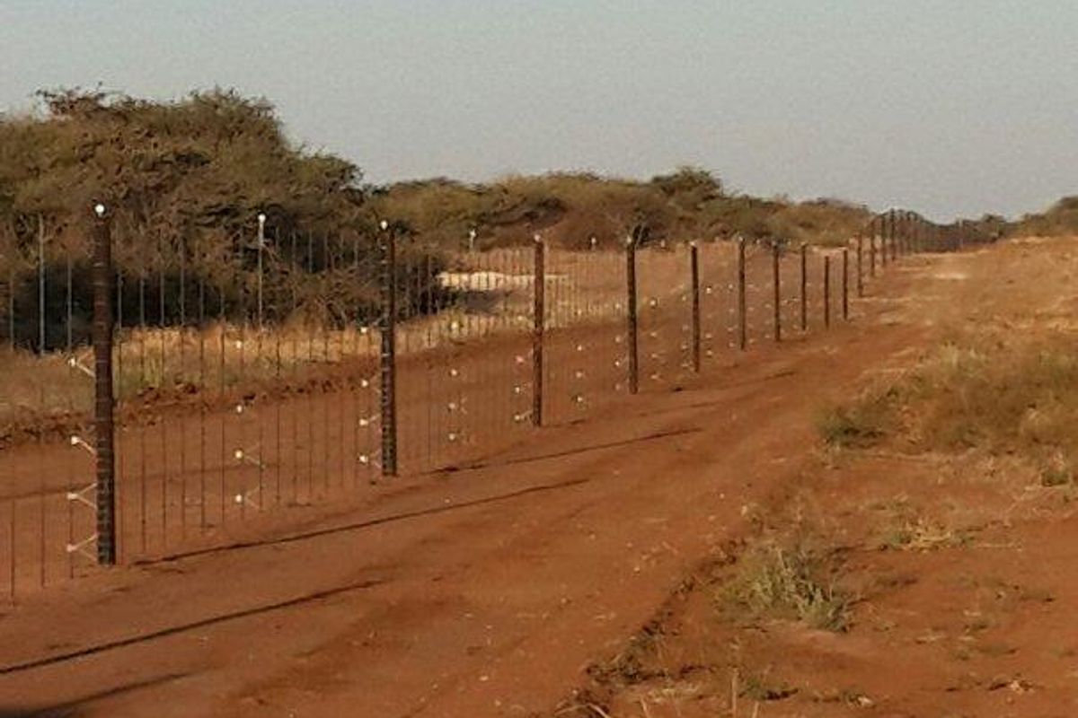 Sprawling 20 Hectare Plots for Sale - Photo 5