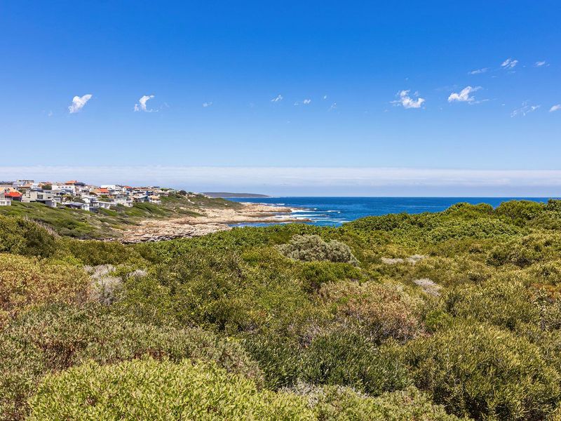 PARADISE FOUND - Photo 5