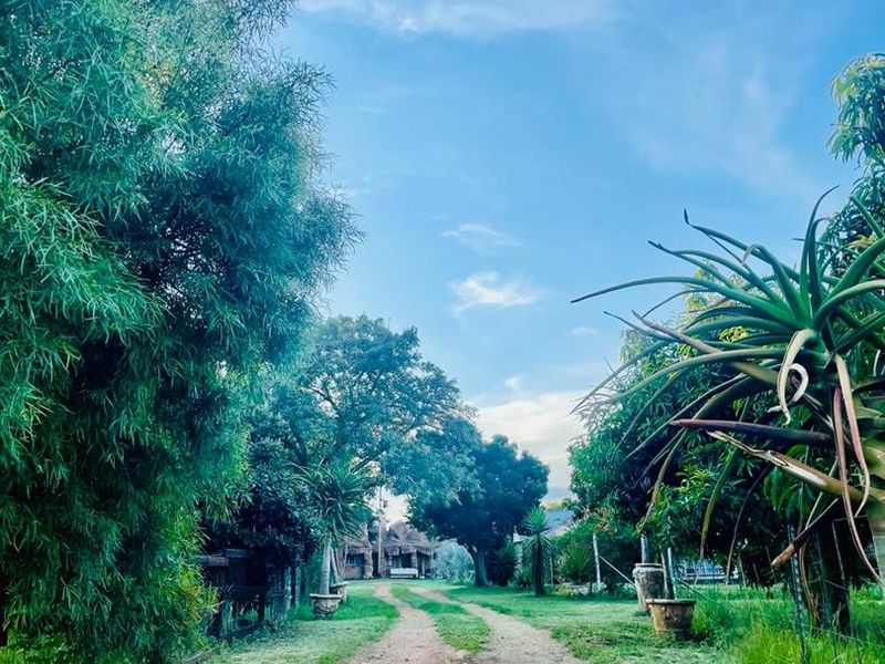 Prime 16 HA property - Photo 2