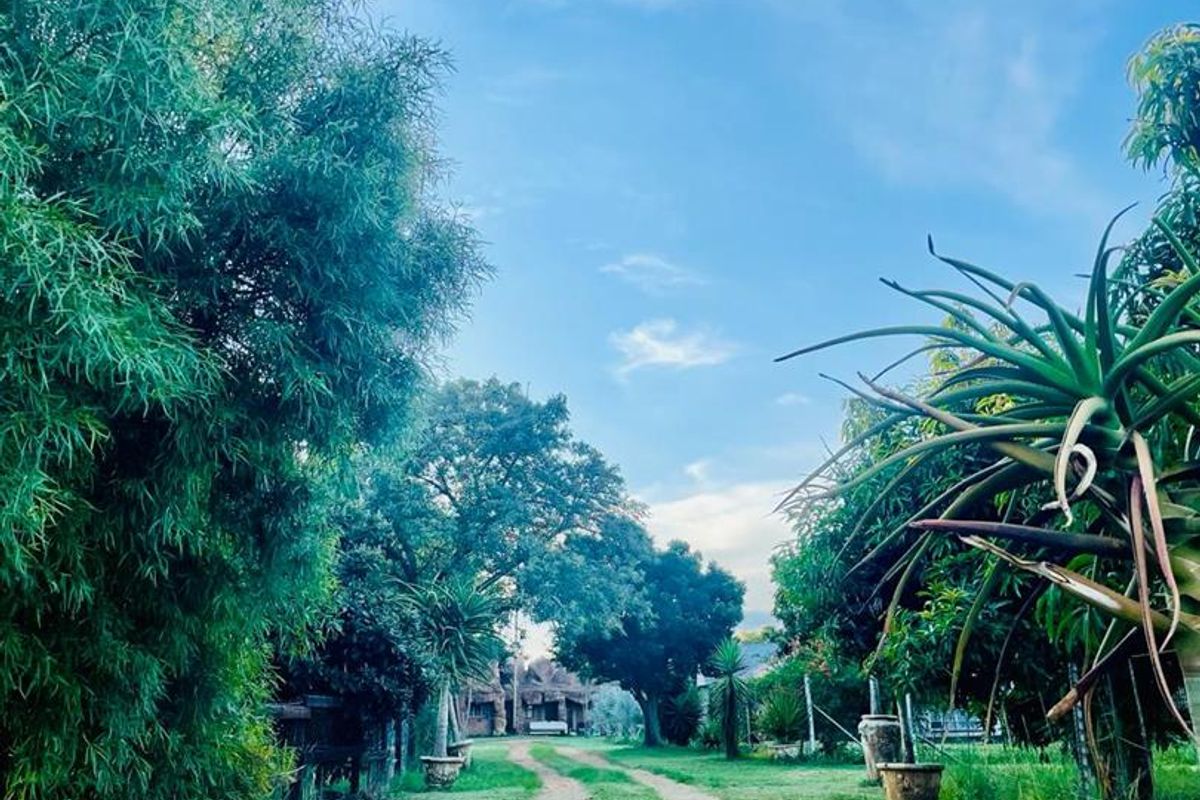 Prime 16 HA property - Photo 2