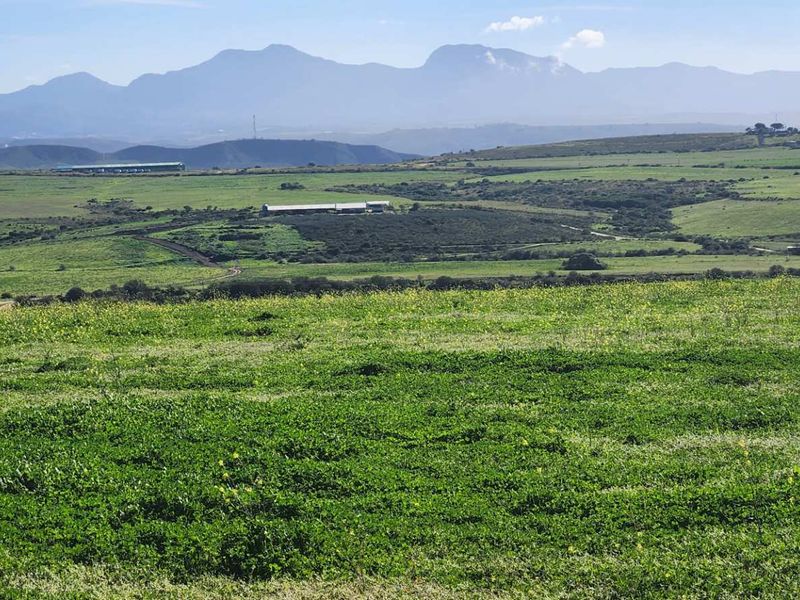 Expansive panoramic view of the rolling green farm landscape with a prominent mountain range in the background.
