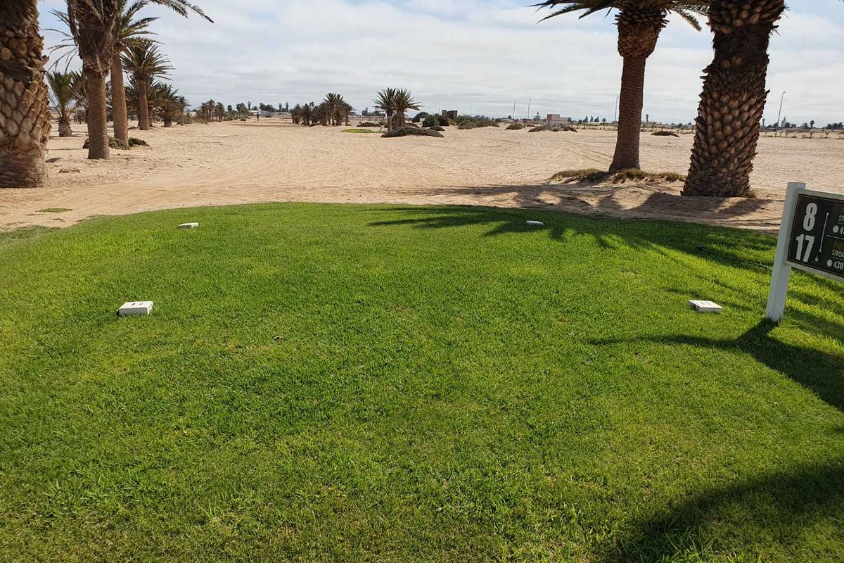 A view of a well-maintained golf course tee box with surrounding palm trees and sandy landscape.