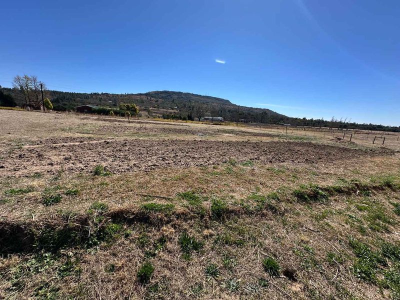 3 BEDROOM HOUSE ON  2HA PLOT FOR SALE - Photo 5