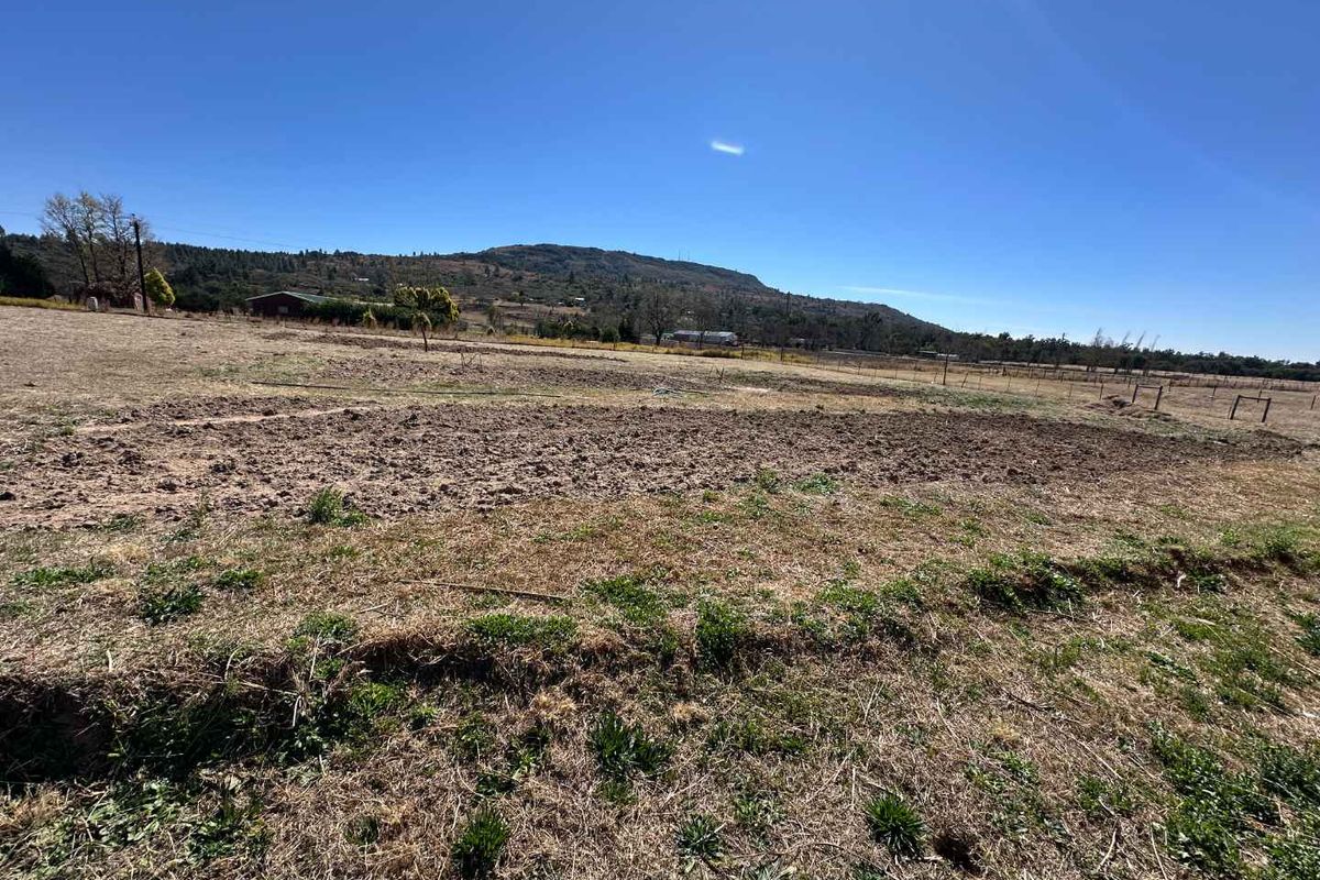 3 BEDROOM HOUSE ON  2HA PLOT FOR SALE - Photo 5