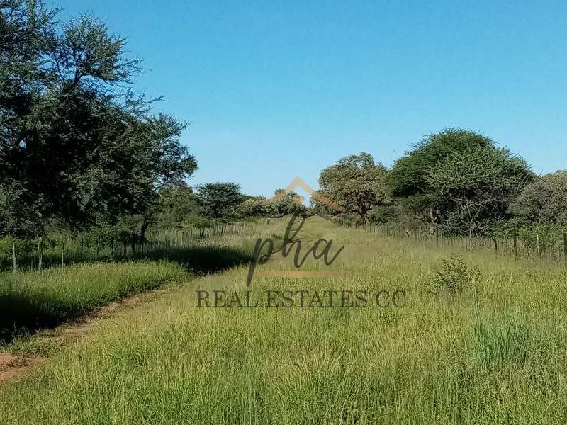 Beautiful Agricultural Otavi Plots for sale  !!! Prices between N$795 000 – N$1 300 000.00 - Photo 2