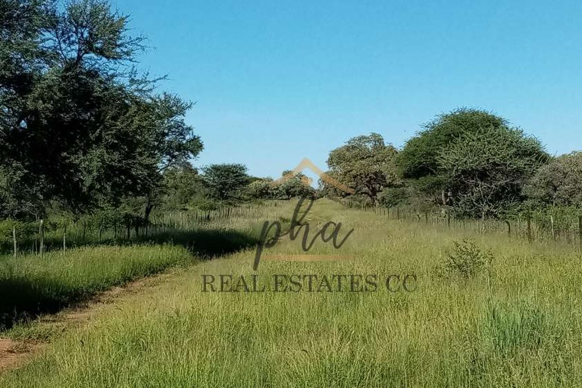 Beautiful Agricultural Otavi Plots for sale  !!! Prices between N$795 000 – N$1 300 000.00 - Photo 2
