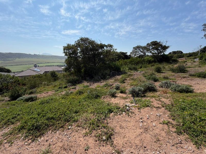 A view of the vacant residential land featuring natural vegetation and a gentle slope with surrounding landscape views.