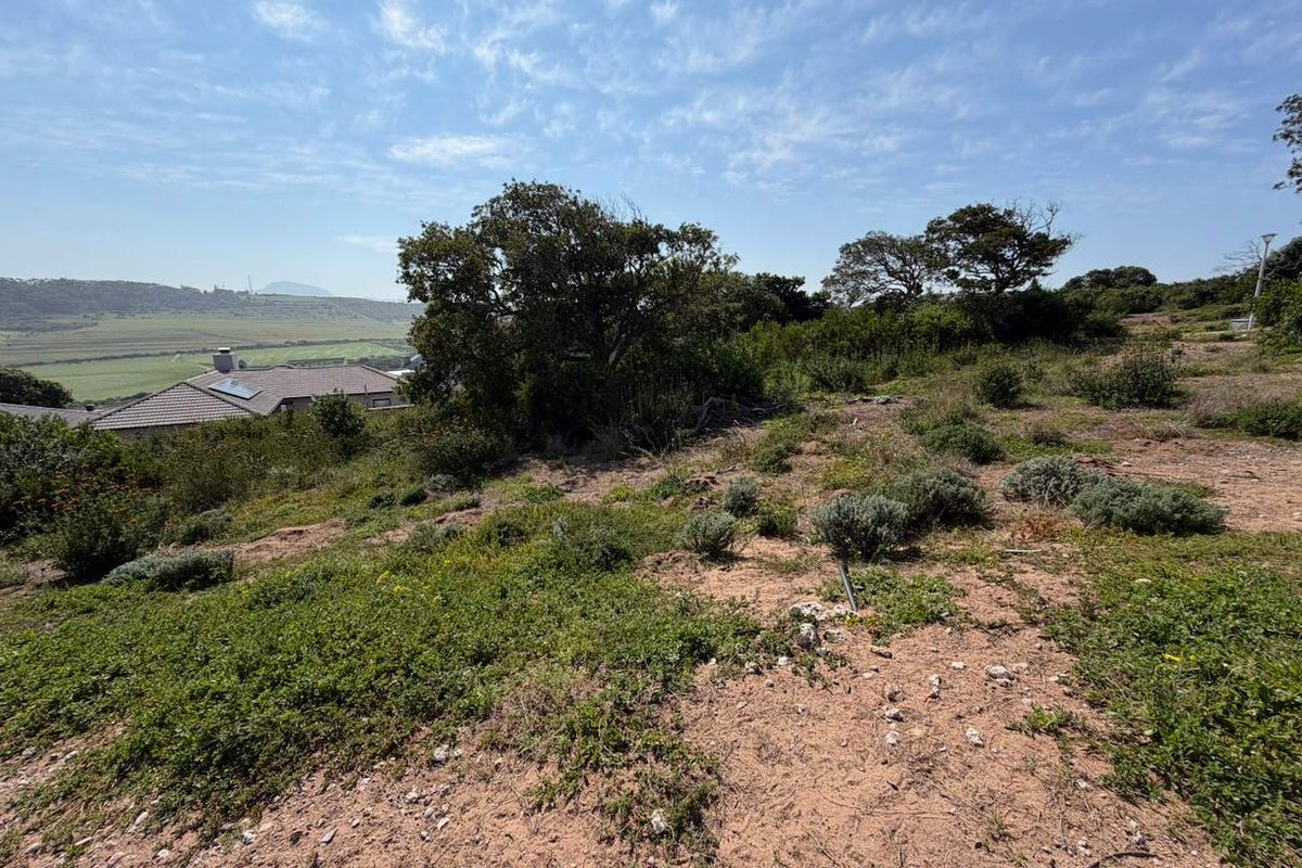 A view of the vacant residential land featuring natural vegetation and a gentle slope with surrounding landscape views.