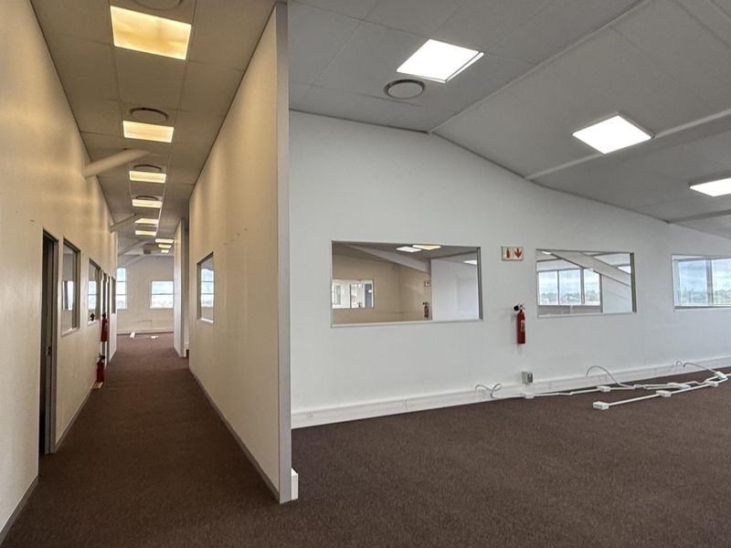 An open-plan office space featuring carpeted flooring, recessed LED lighting, and internal glass partitions, providing a bright and functional workspace environment.