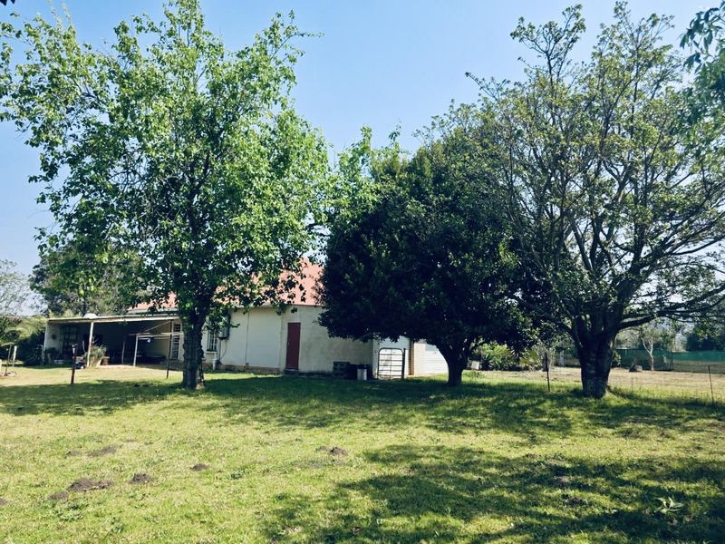Rear view of the property featuring a covered patio area, established trees, and a spacious garden lawn.