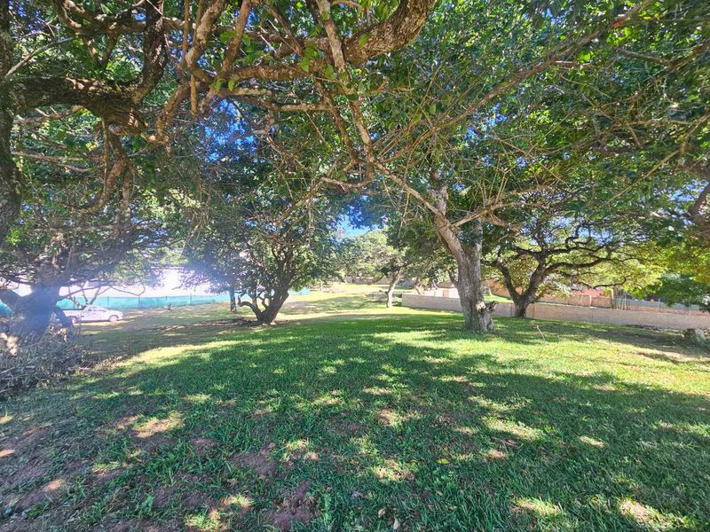 Build Your Tropical Masterpiece in St Lucia 🌿 - Photo 7