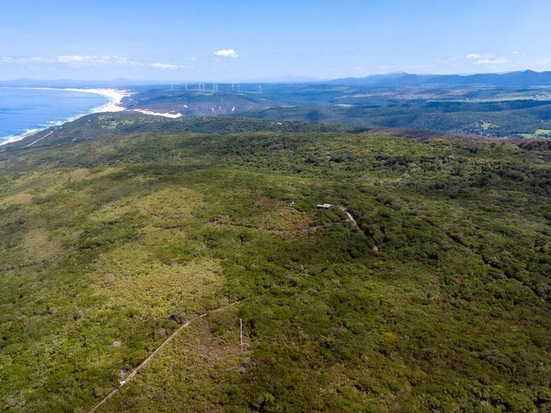 One of the Last Coastal Development Opportunities in Seaview | 25ha with Planning Work Already Done - Photo 8