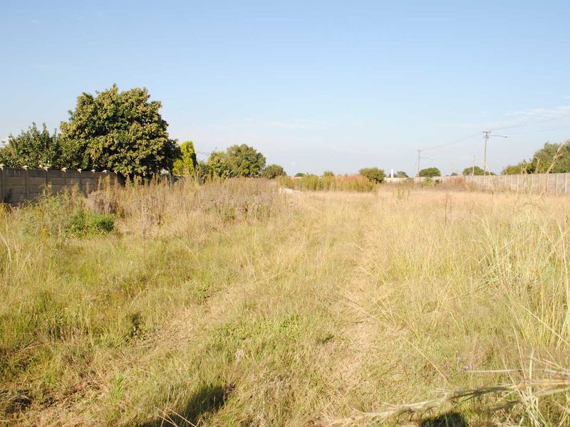 Fully walled this large, Spacious stand. Let your imagine go. - Photo 5