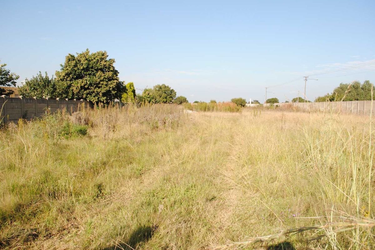 Fully walled this large, Spacious stand. Let your imagine go. - Photo 5