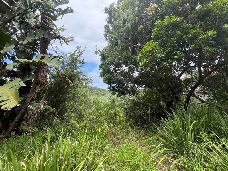 An Exclusive Opportunity to Build a Bespoke Forever Home in Zimbali With Unparalleled, Sweeping Views - Photo 7