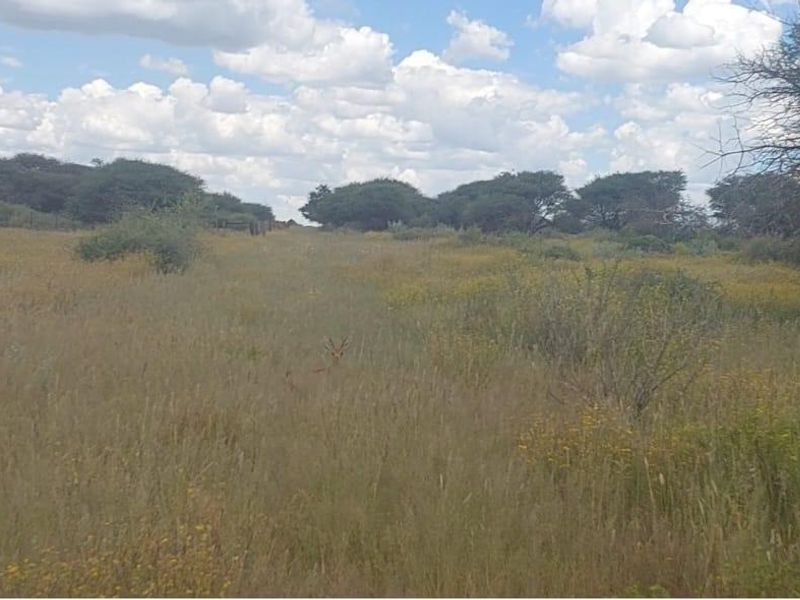 A scenic view of open agricultural land featuring natural grasslands and indigenous trees under a bright, cloudy sky.