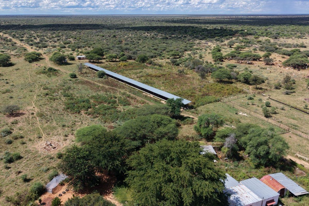 FEEDLOT FARM FOR SALE – GROOTFONTEIN - Photo 3