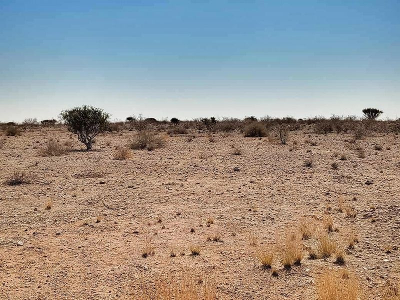 AGRICULTURAL LIFESTYLE PLOT FOR SALE IN STAMPRIET (ROOTS DEVELOPMENT) - Photo 4