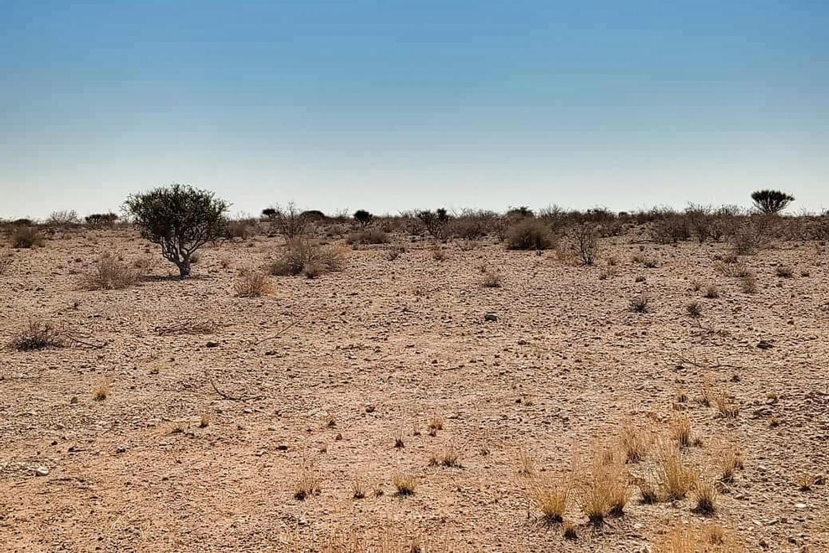 AGRICULTURAL LIFESTYLE PLOT FOR SALE IN STAMPRIET (ROOTS DEVELOPMENT) - Photo 4