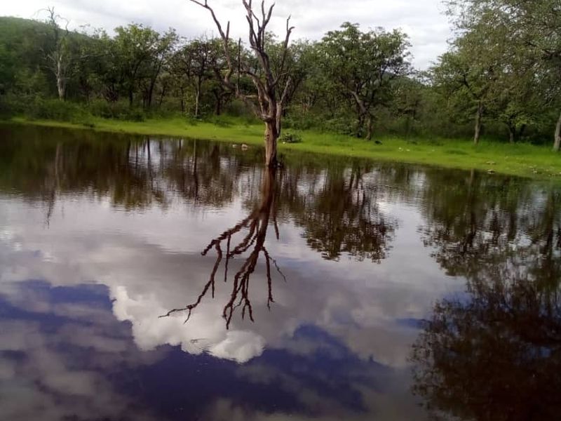 GAME, AGRICULTURAL FARM FOR SALE IN OUTJO AREA - Photo 2