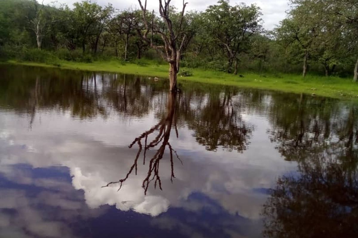 GAME, AGRICULTURAL FARM FOR SALE IN OUTJO AREA - Photo 2