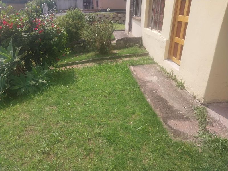 A view of the rear exterior of the house featuring a concrete pathway, timber door, and surrounding garden area in need of maintenance.