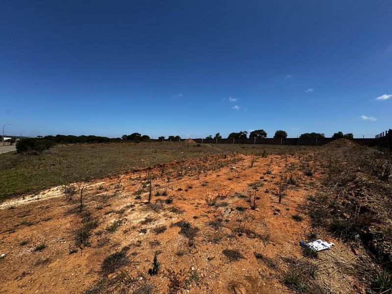 A vacant industrial land plot featuring an open landscape and a perimeter boundary wall, suitable for future development.