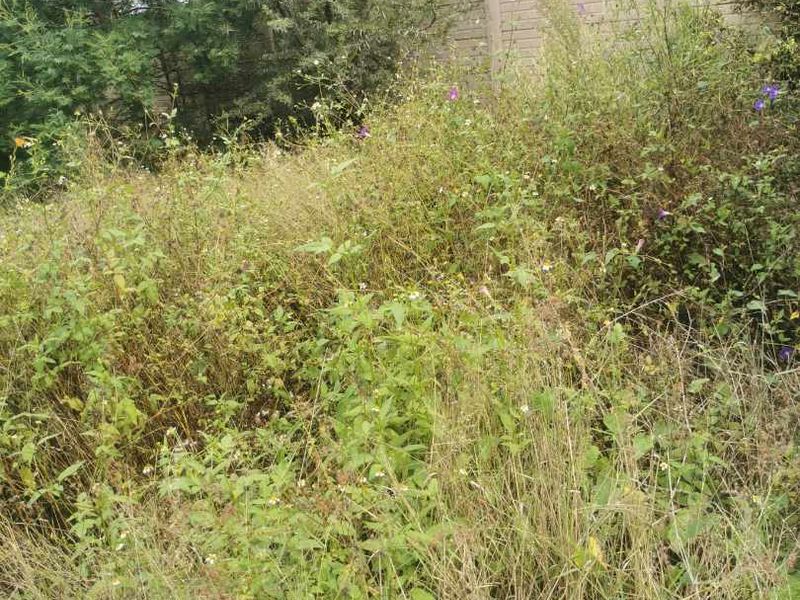 Pan Handle stand in Erasmuskloof for sale. - Photo 10