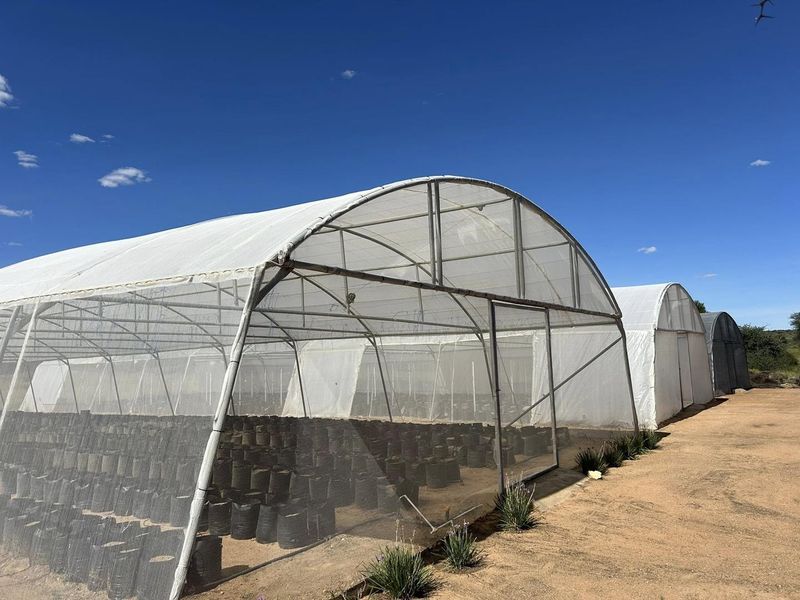Large agricultural poly-tunnel greenhouse structures with metal framing and mesh netting, suitable for commercial nursery or crop production on a small holding.
