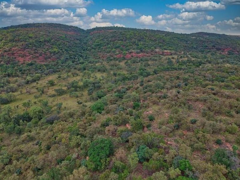 Vacant Land De Tweedespruit Cullinan - Photo 4