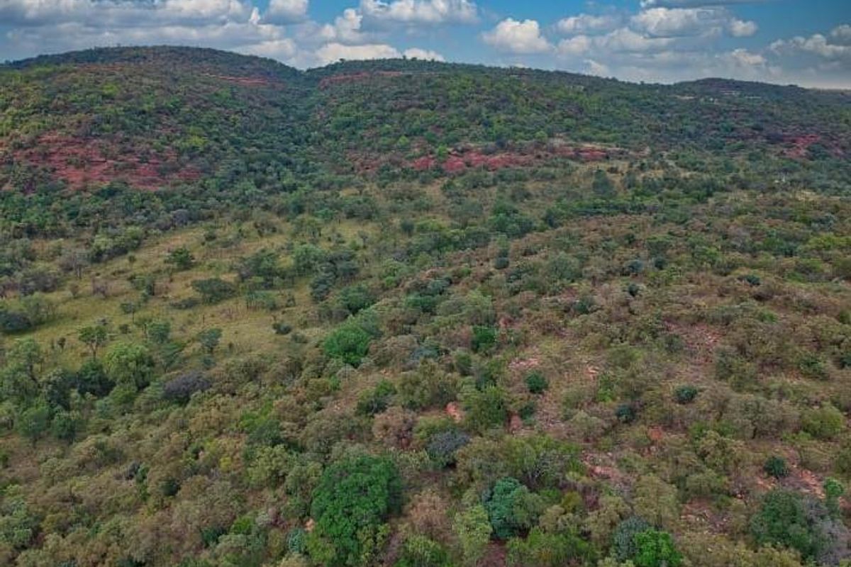 Vacant Land De Tweedespruit Cullinan - Photo 4