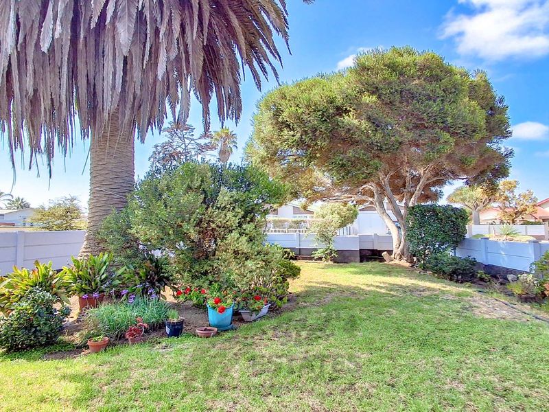 A well-maintained private garden featuring a mature palm tree, established shrubs, and a secure precast concrete boundary wall.