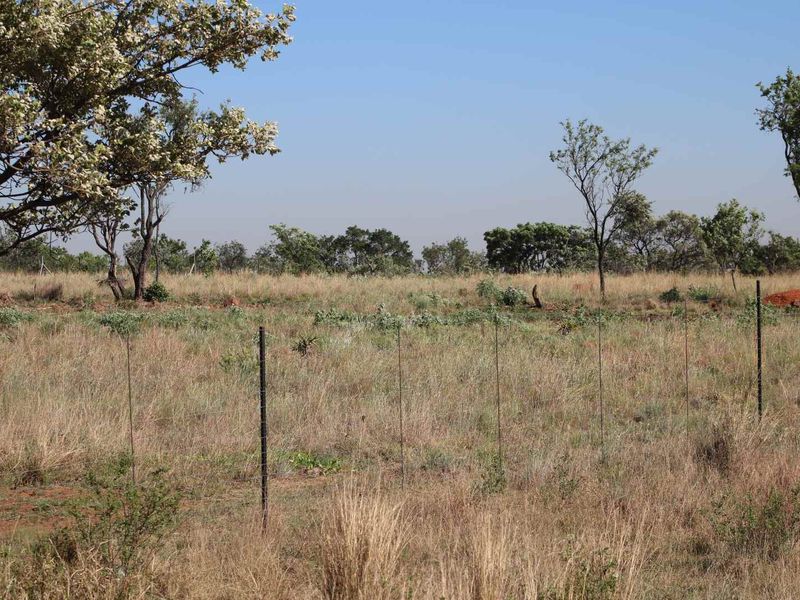 An expansive, undeveloped plot of land featuring natural veld vegetation, indigenous trees, and perimeter wire fencing.