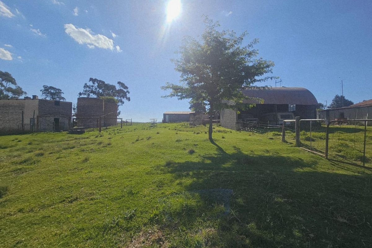 Well-Watered Mixed-Farming Opportunity in the Ladybrand District - Photo 3