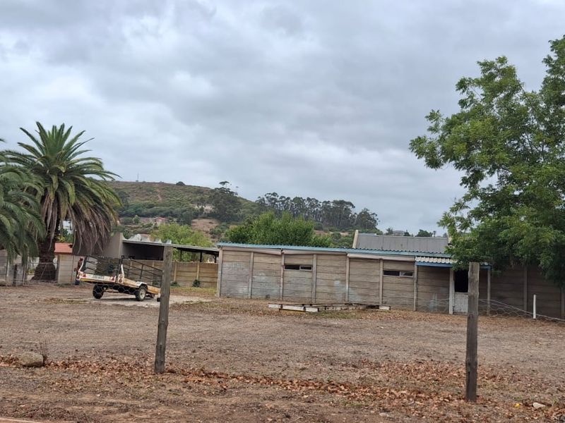 Canvas of Dreams: Build Your Future in Heidelberg! - Photo 3