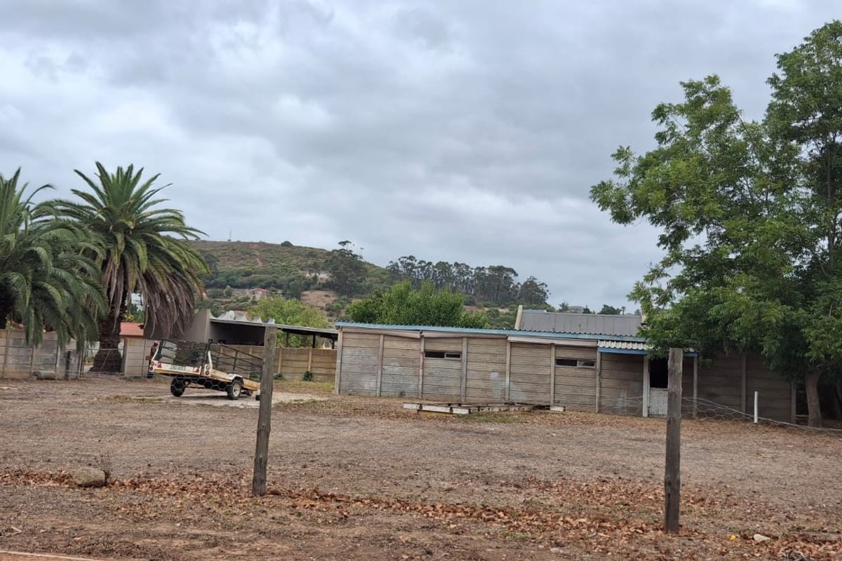 Canvas of Dreams: Build Your Future in Heidelberg! - Photo 3