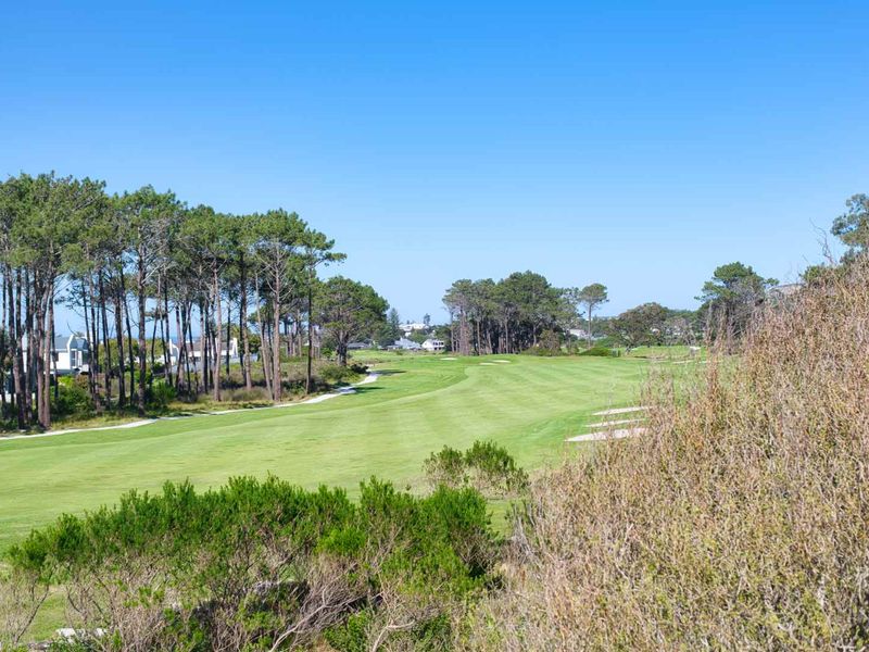 A scenic view overlooking a well-maintained golf course fairway surrounded by mature pine trees and natural vegetation.