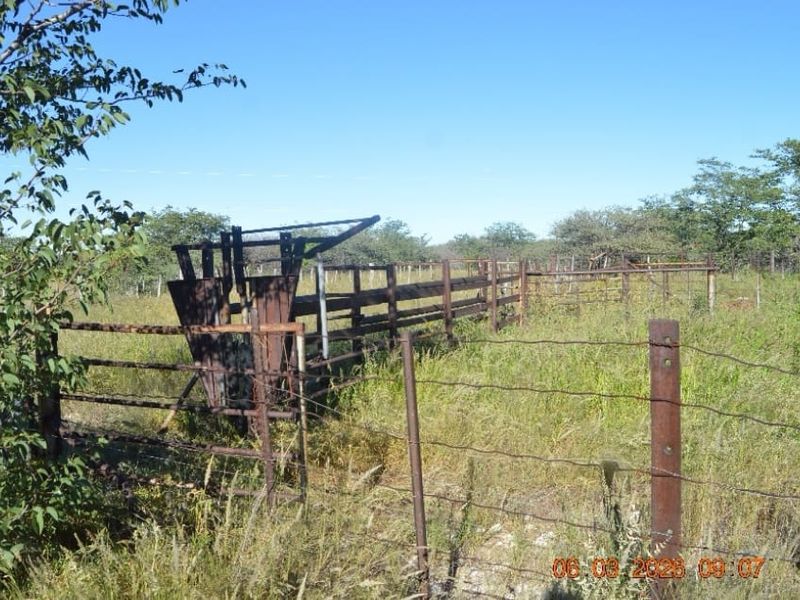 Outdoor livestock handling facility featuring a metal cattle crush and perimeter fencing on a farm property.