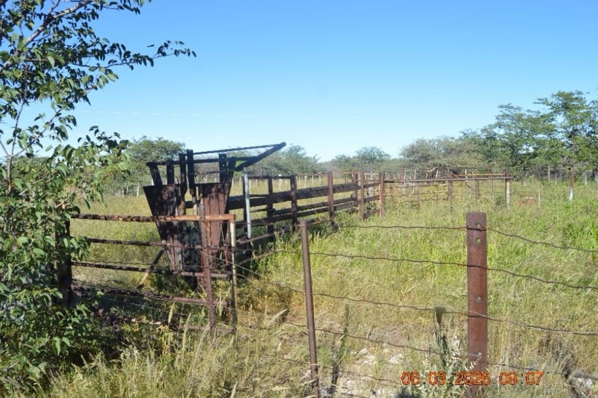 Outdoor livestock handling facility featuring a metal cattle crush and perimeter fencing on a farm property.