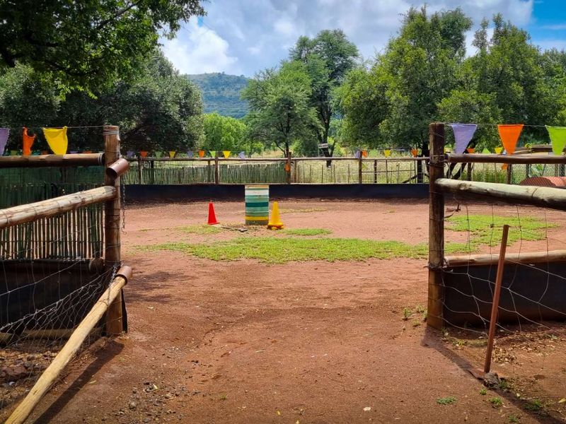 Exceptional Business Opportunity close to Hartbeespoort - Photo 8