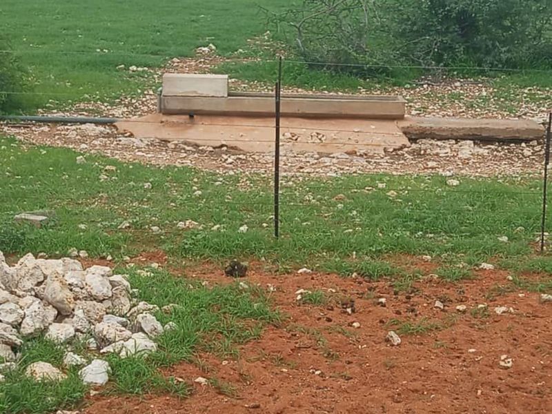 FOR SALE - FARM IN STAMPRIET, MARIENTAL AREA, NAMIBIA - Photo 10